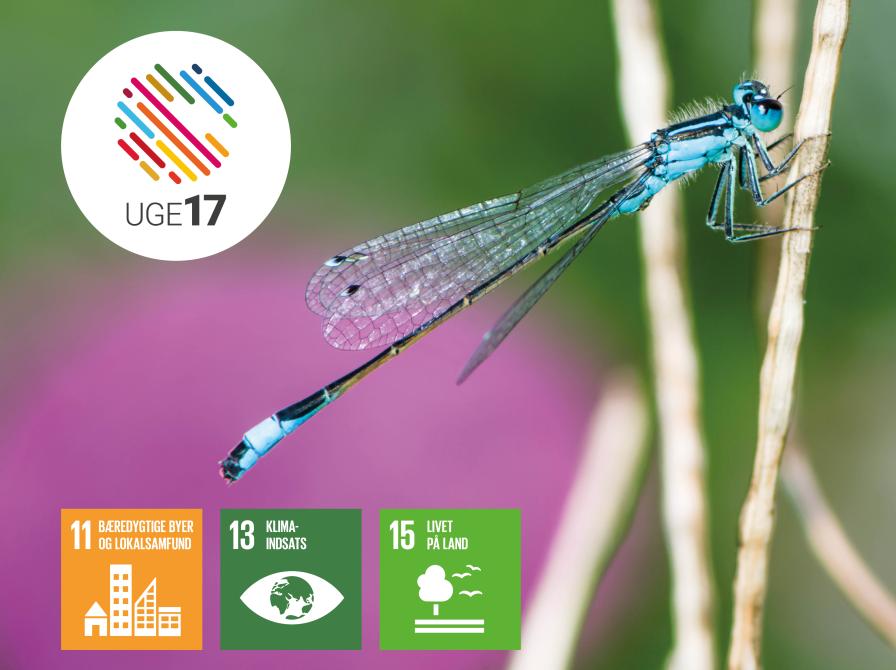 Guldsmed. Uge 17 logo. Verdensmål 11, 13 og 15.